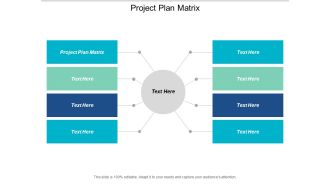 Project Plan Matrix Ppt PowerPoint Presentation Portfolio Graphics Pictures Cpb