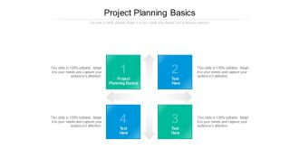 Project Planning Basics Ppt PowerPoint Presentation Model Shapes Cpb