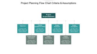 Project Planning Flow Chart Criteria And Assumptions Ppt PowerPoint Presentation Templates