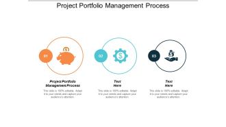 Project Portfolio Management Process Ppt PowerPoint Presentation Professional Layouts Cpb