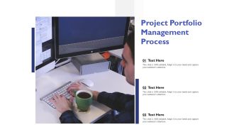 Project Portfolio Management Process Ppt PowerPoint Presentation Summary Images