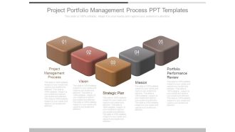 Project Portfolio Management Process Ppt Templates
