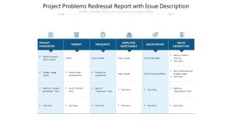 Project Problems Redressal Report With Issue Description Ppt PowerPoint Presentation File Model PDF