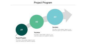 Project Program Ppt Powerpoint Presentation Portfolio Guide Cpb