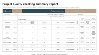 Project Quality Checking Summary Report Background PDF
