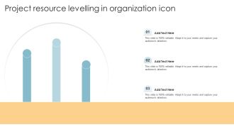 Project Resource Levelling In Organization Icon Ppt PowerPoint Presentation Inspiration Format PDF