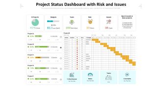Project Status Dashboard With Risk And Issues Ppt PowerPoint Presentation Gallery Inspiration PDF