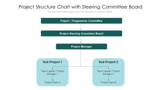 Project Structure Chart With Steering Committee Board Ppt PowerPoint Presentation File Examples PDF
