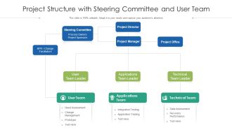 Project Structure With Steering Committee And User Team Ppt PowerPoint Presentation File Templates PDF