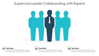 Project Supervisor Collaborating With Experts Ppt PowerPoint Presentation Clipart PDF