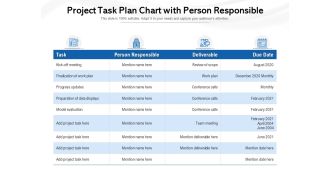 Project Task Plan Chart With Person Responsible Ppt PowerPoint Presentation Portfolio Templates PDF