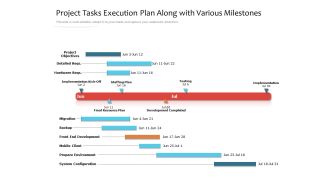 Project Tasks Execution Plan Along With Various Milestones Ppt PowerPoint Presentation Gallery Graphic Images PDF