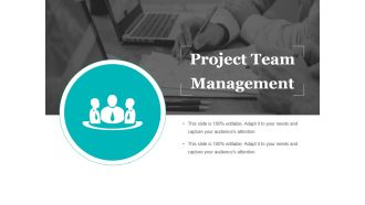 Project Team Management Ppt PowerPoint Presentation Slides Background Image
