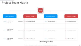Project Team Matrix Manufacturing Control Ppt Pictures Guide PDF