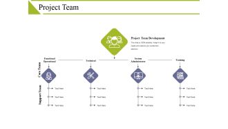 Project Team Ppt PowerPoint Presentation File Show