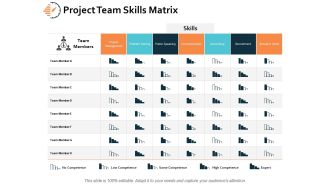 Project Team Skills Matrix Ppt PowerPoint Presentation Styles Example Introduction