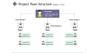 Project Team Structure Template 1 Ppt PowerPoint Presentation Model Demonstration