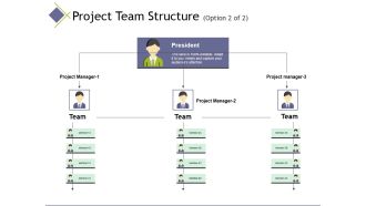 Project Team Structure Template 2 Ppt PowerPoint Presentation Infographics Ideas