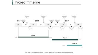 Project Timeline Process Ppt PowerPoint Presentation Infographic Template Information