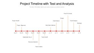 Project Timeline With Test And Analysis Ppt PowerPoint Presentation Inspiration Master Slide PDF