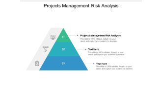 Projects Management Risk Analysis Ppt PowerPoint Presentation Infographic Template Slides Cpb