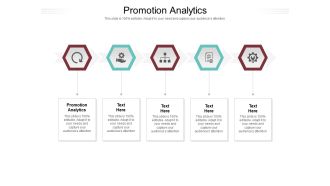 Promotion Analytics Ppt PowerPoint Presentation Ideas Example File Cpb Pdf