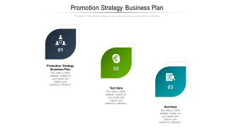 Promotion Strategy Business Plan Ppt PowerPoint Presentation Infographics Slide Portrait Cpb Pdf