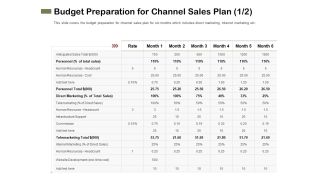Promotional Channels And Action Plan For Increasing Revenues Budget Preparation For Channel Sales Plan Cost Information PDF