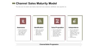 Promotional Channels And Action Plan For Increasing Revenues Channel Sales Maturity Model Formats PDF