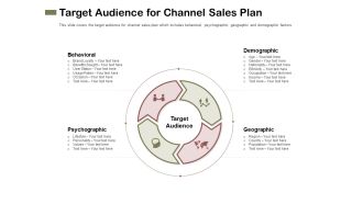 Promotional Channels And Action Plan For Increasing Revenues Target Audience For Channel Sales Plan Professional PDF