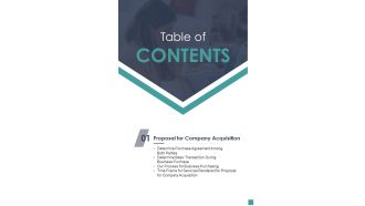 Proposal For Company Acquisition Table Of Contents One Pager Sample Example Document