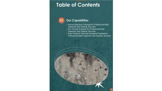 Proposal For Professional Mold Inspection And Cleanup Services Table Of Contents One Pager Sample Example Document