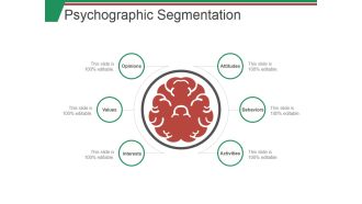 Psychographic Segmentation Ppt PowerPoint Presentation Slides Files