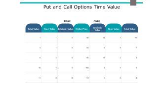 Put And Call Options Time Value Ppt PowerPoint Presentation Infographics Microsoft