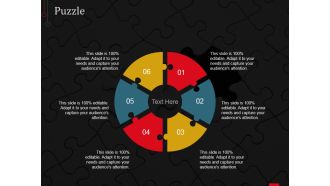Puzzle Ppt PowerPoint Presentation Portfolio Show