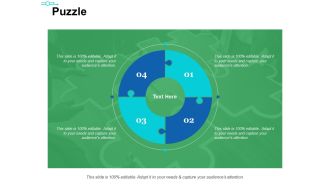 Puzzle Ppt PowerPoint Presentation Summary Templates