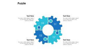 Puzzle Problem Ppt PowerPoint Presentation Gallery Portrait