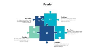 Puzzle Solution Problem Ppt PowerPoint Presentation Pictures Example Introduction