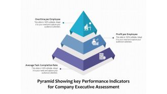 Pyramid Showing Key Performance Indicators For Company Executive Assessment Ppt PowerPoint Presentation Portfolio Rules PDF