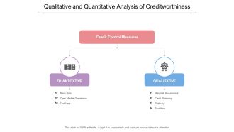 Qualitative And Quantitative Analysis Of Creditworthiness Ppt PowerPoint Presentation Styles Gridlines