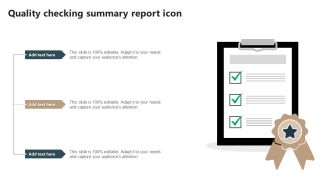 Quality Checking Summary Report Icon Pictures PDF