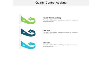 Quality Control Auditing Ppt Powerpoint Presentation Ideas Slides Cpb