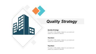 Quality Strategy Ppt PowerPoint Presentation File Tips Cpb
