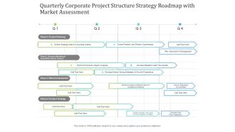 Quarterly Corporate Project Structure Strategy Roadmap With Market Assessment Introduction