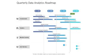 Quarterly Data Analytics Roadmap Pictures