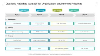Quarterly Roadmap Strategy For Organization Environment Roadmap Slides PDF