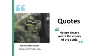 Quotes Management Ppt PowerPoint Presentation Layouts Format Ideas