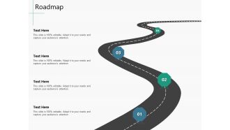 Raising Capital From Virtual Currency Initial Public Offering Roadmap Topics PDF