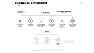 Realization And Implement Ppt PowerPoint Presentation Show Example File