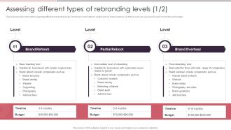 Rebranding Brand Fresh Face Development Assessing Different Types Of Rebranding Levels Inspiration PDF